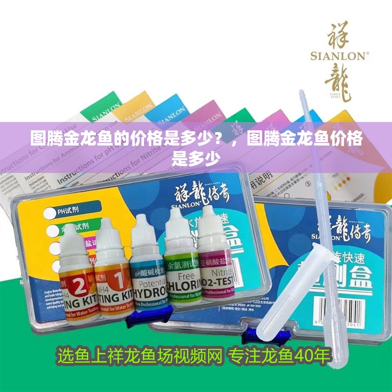 圖騰金龍魚的價(jià)格是多少？，圖騰金龍魚價(jià)格是多少