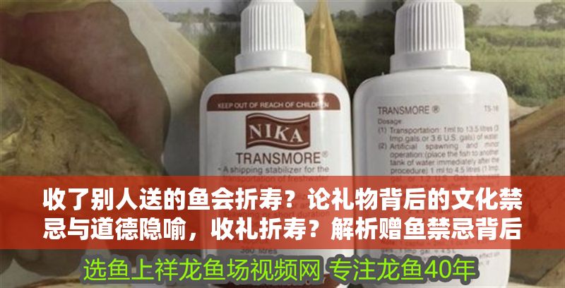 收了別人送的魚會折壽？論禮物背后的文化禁忌與道德隱喻，收禮折壽？解析贈魚禁忌背后的文化寓意與道德考量