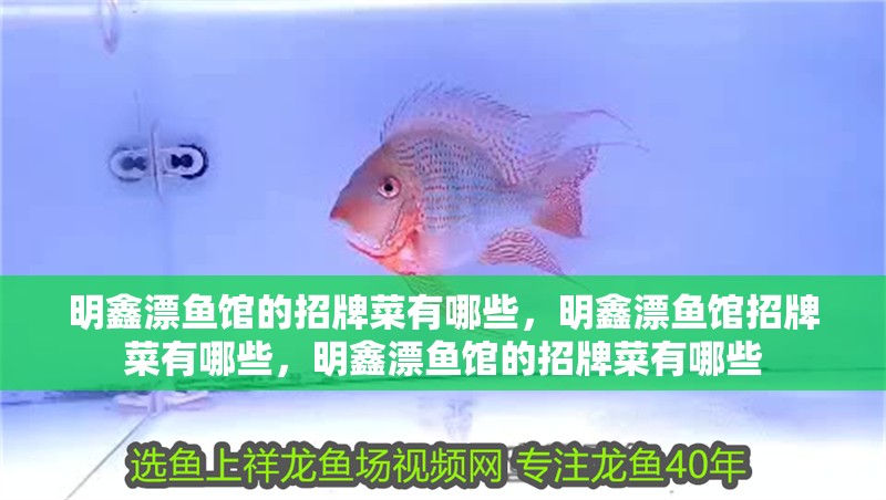 明鑫漂魚館的招牌菜有哪些，明鑫漂魚館招牌菜有哪些，明鑫漂魚館的招牌菜有哪些