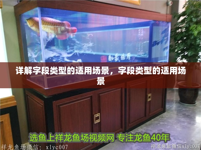 什么魚能和龍魚、虎魚混養(龍魚能和虎魚混養嗎) 詳解字段類型的適用場景,字段類型的適用場景 龍魚百科 詳解字段類型的適用場景,字段類型的適用場景 詳解字段類型的適用場景,字段類型的適用場景 龍魚百科
