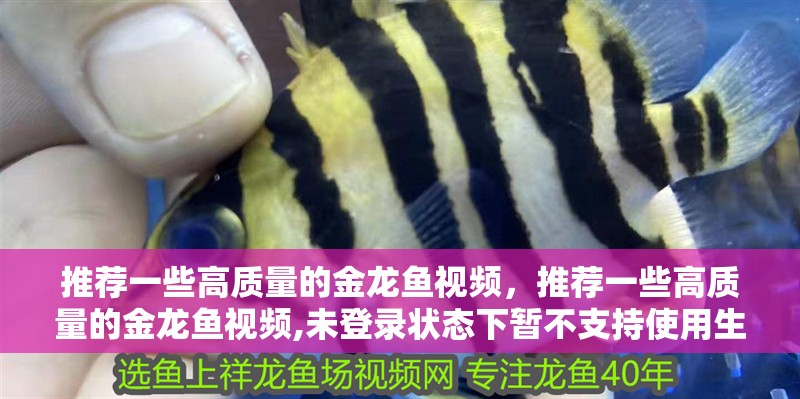 推薦一些高質(zhì)量的金龍魚(yú)視頻，推薦一些高質(zhì)量的金龍魚(yú)視頻,未登錄狀態(tài)下暫不支持使用生視頻能力