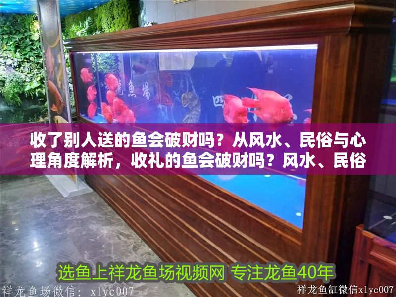 收了別人送的魚會(huì)破財(cái)嗎？從風(fēng)水、民俗與心理角度解析，收禮的魚會(huì)破財(cái)嗎？風(fēng)水、民俗與心理三重解讀