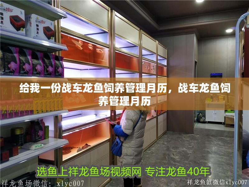 給我一份戰(zhàn)車龍魚飼養(yǎng)管理月歷，戰(zhàn)車龍魚飼養(yǎng)管理月歷