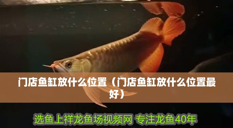 門店魚缸放什么位置（門店魚缸放什么位置最好）