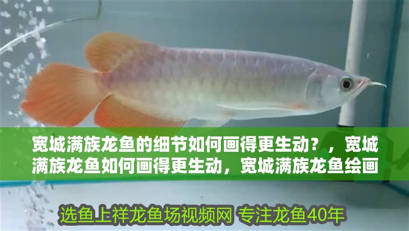 我的虎魚真菌感染了要怎么處理 寬城滿族龍魚的細節如何畫得更生動?,寬城滿族龍魚如何畫得更生動,寬城滿族龍魚繪畫技法 龍魚百科 寬城滿族龍魚的細節如何畫得更生動?,寬城滿族龍魚如何畫得更生動,寬城滿族龍魚繪畫技法 寬城滿族龍魚的細節如何畫得更生動?,寬城滿族龍魚如何畫得更生動,寬城滿族龍魚繪畫技法 龍魚百科