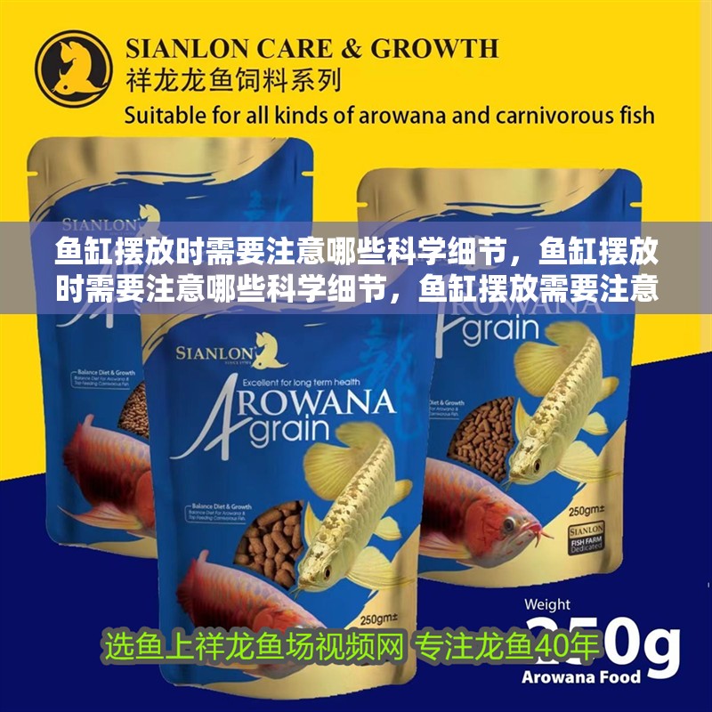 魚缸擺放時需要注意哪些科學細節，魚缸擺放時需要注意哪些科學細節，魚缸擺放需要注意哪些科學細節 魚缸擺放時需要注意哪些科學細節，魚缸擺放時需要注意哪些科學細節，魚缸擺放需要注意哪些科學細節 龍魚百科