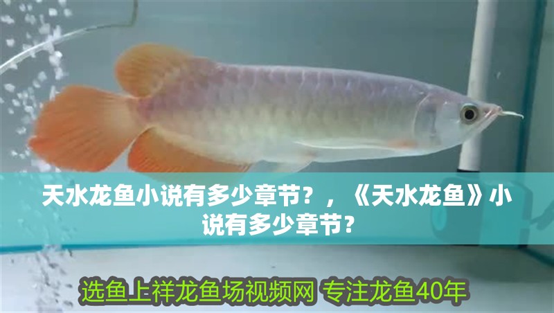 天水龍魚小說有多少章節？，《天水龍魚》小說有多少章節？ 天水龍魚小說有多少章節？，《天水龍魚》小說有多少章節？ 龍魚百科