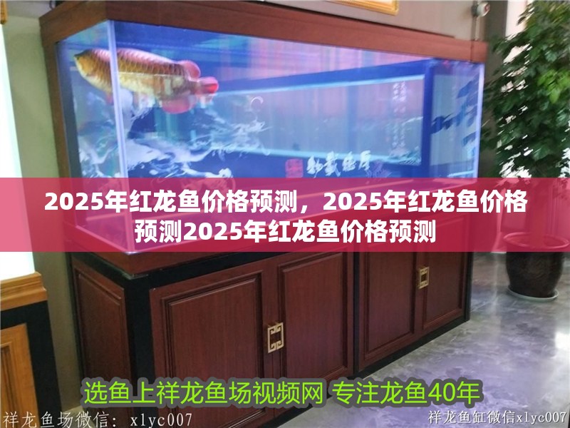 2025年紅龍魚價格預測，2025年紅龍魚價格預測2025年紅龍魚價格預測 2025年紅龍魚價格預測，2025年紅龍魚價格預測2025年紅龍魚價格預測 龍魚百科