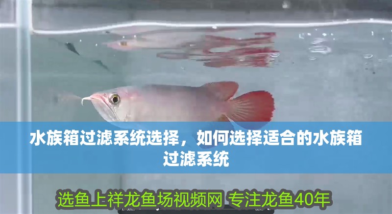 水族箱過(guò)濾系統(tǒng)選擇，如何選擇適合的水族箱過(guò)濾系統(tǒng) 水族箱過(guò)濾系統(tǒng)選擇，如何選擇適合的水族箱過(guò)濾系統(tǒng) 龍魚百科