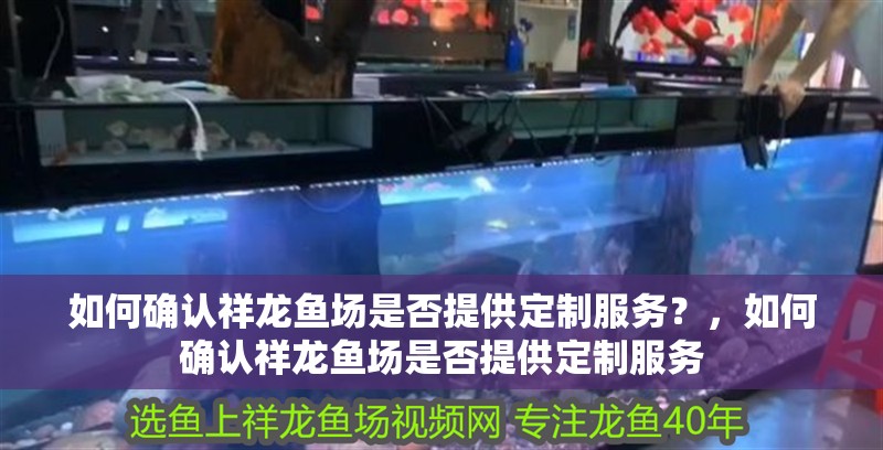 如何確認祥龍魚場是否提供定制服務(wù)？，如何確認祥龍魚場是否提供定制服務(wù) 如何確認祥龍魚場是否提供定制服務(wù)？，如何確認祥龍魚場是否提供定制服務(wù) 龍魚百科