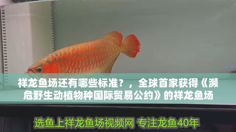 祥龍魚場還有哪些標準？，全球首家獲得《瀕危野生動植物種國際貿易公約》的祥龍魚場 祥龍魚場還有哪些標準？，全球首家獲得《瀕危野生動植物種國際貿易公約》的祥龍魚場 龍魚百科