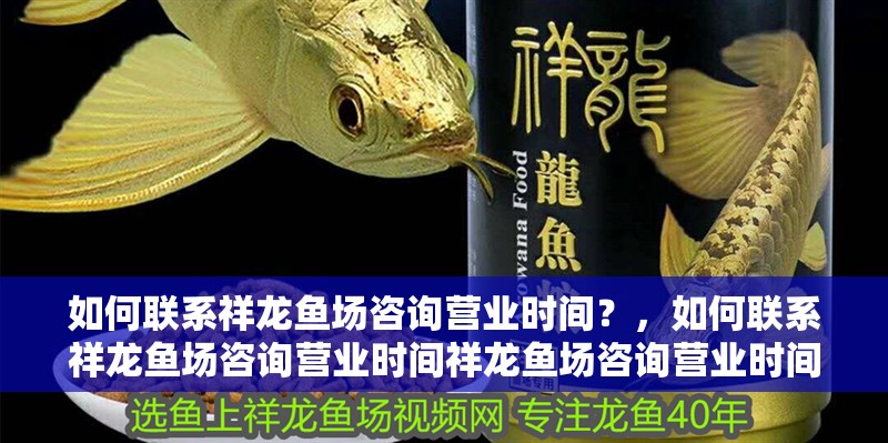 如何聯系祥龍魚場咨詢營業時間？，如何聯系祥龍魚場咨詢營業時間祥龍魚場咨詢營業時間