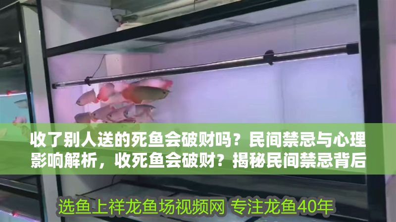 收了別人送的死魚會破財嗎？民間禁忌與心理影響解析，收死魚會破財？揭秘民間禁忌背后的心理影響