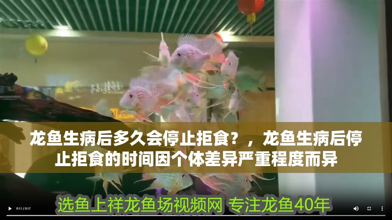 鸚鵡魚和銀龍魚混養怎樣喂食 龍魚生病后多久會停止拒食?,龍魚生病后停止拒食的時間因個體差異嚴重程度而異 龍魚百科 龍魚生病后多久會停止拒食?,龍魚生病后停止拒食的時間因個體差異嚴重程度而異 龍魚生病后多久會停止拒食?,龍魚生病后停止拒食的時間因個體差異嚴重程度而異 龍魚百科