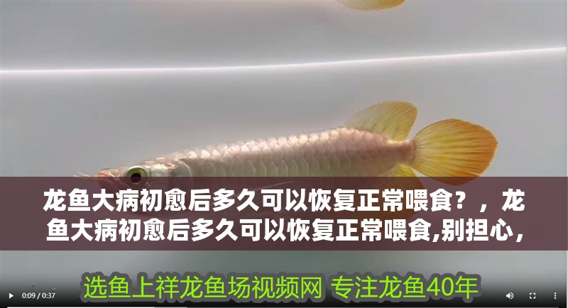 龍魚(yú)大病初愈后多久可以恢復(fù)正常喂食？，龍魚(yú)大病初愈后多久可以恢復(fù)正常喂食,別擔(dān)心，關(guān)鍵不是“多久”