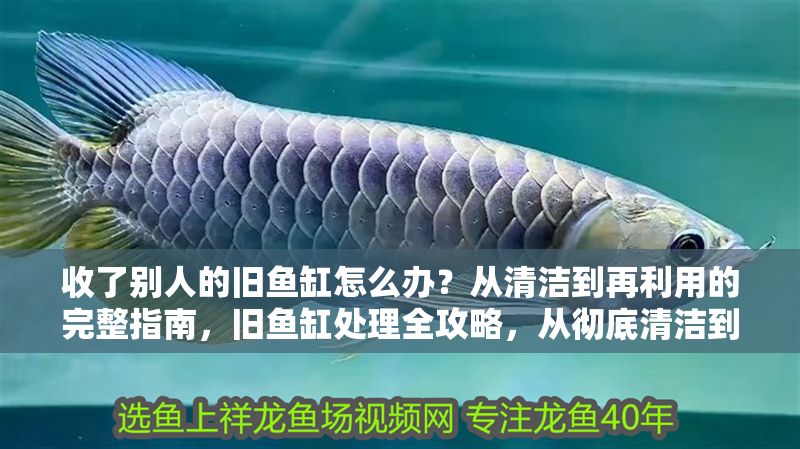 收了別人的舊魚缸怎么辦？從清潔到再利用的完整指南，舊魚缸處理全攻略，從徹底清潔到創意再利用 收了別人的舊魚缸怎么辦？從清潔到再利用的完整指南，舊魚缸處理全攻略，從徹底清潔到創意再利用 龍魚百科 第1張
