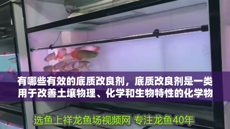 有哪些有效的底質(zhì)改良劑，底質(zhì)改良劑是一類用于改善土壤物理、化學(xué)和生物特性的化學(xué)物質(zhì)