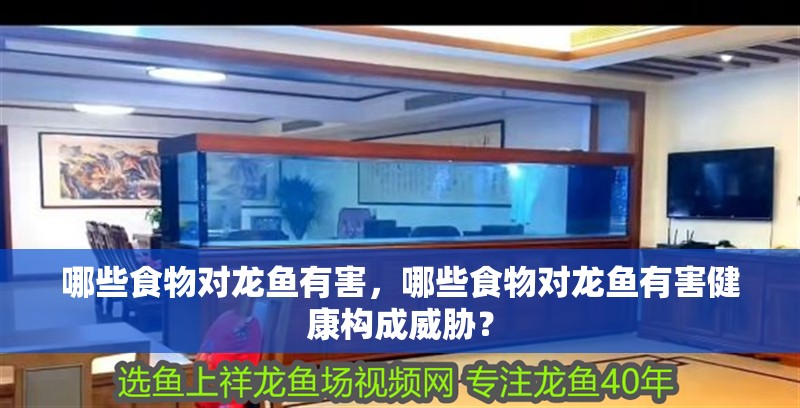 哪些食物對龍魚有害，哪些食物對龍魚有害健康構(gòu)成威脅？ 哪些食物對龍魚有害，哪些食物對龍魚有害健康構(gòu)成威脅？ 龍魚百科