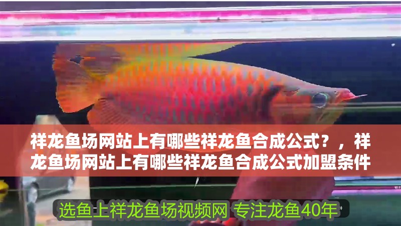 給大魚缸換水的作文:體驗給大魚缸換水的樂趣:體驗給大魚缸換水:給大魚缸換水的作文 祥龍魚場網站上有哪些祥龍魚合成公式?,祥龍魚場網站上有哪些祥龍魚合成公式加盟條件 龍魚百科 祥龍魚場網站上有哪些祥龍魚合成公式?,祥龍魚場網站上有哪些祥龍魚合成公式加盟條件 祥龍魚場網站上有哪些祥龍魚合成公式?,祥龍魚場網站上有哪些祥龍魚合成公式加盟條件 龍魚百科