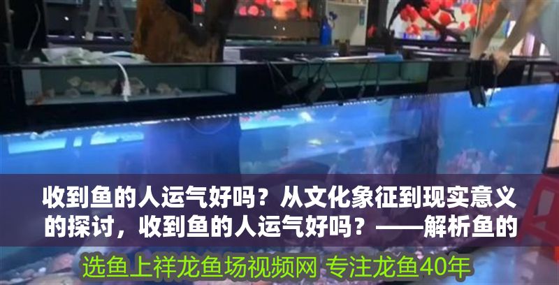 收到魚的人運氣好嗎?從文化象征到現實意義的探討,收到魚的人運氣好嗎?——解析魚的文化象征與現實寓意 龍魚百科 第1張 收到魚的人運氣好嗎?從文化象征到現實意義的探討,收到魚的人運氣好嗎?——解析魚的文化象征與現實寓意 收到魚的人運氣好嗎?從文化象征到現實意義的探討,收到魚的人運氣好嗎?——解析魚的文化象征與現實寓意 龍魚百科 第1張