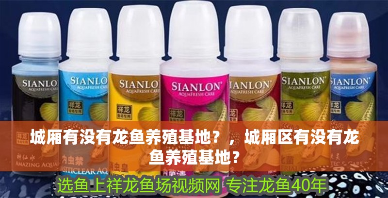 城廂有沒有龍魚養(yǎng)殖基地？，城廂區(qū)有沒有龍魚養(yǎng)殖基地？ 城廂有沒有龍魚養(yǎng)殖基地？，城廂區(qū)有沒有龍魚養(yǎng)殖基地？ 龍魚百科