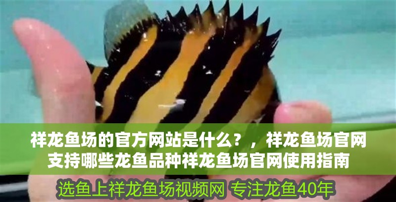祥龍魚場的官方網站是什么？，祥龍魚場官網支持哪些龍魚品種祥龍魚場官網使用指南 祥龍魚場的官方網站是什么？，祥龍魚場官網支持哪些龍魚品種祥龍魚場官網使用指南 龍魚百科