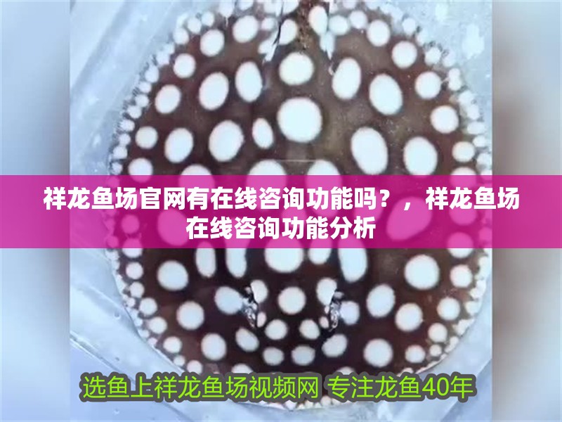 祥龍魚場官網(wǎng)有在線咨詢功能嗎？，祥龍魚場在線咨詢功能分析
