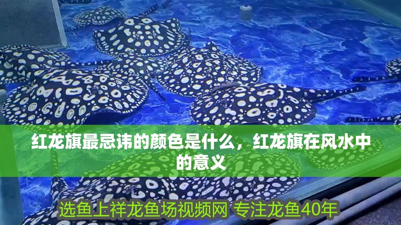 紅龍旗最忌諱的顏色是什么，紅龍旗在風水中的意義