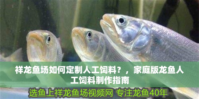祥龍魚場如何定制人工飼料？，家庭版龍魚人工飼料制作指南 祥龍魚場如何定制人工飼料？，家庭版龍魚人工飼料制作指南 龍魚百科
