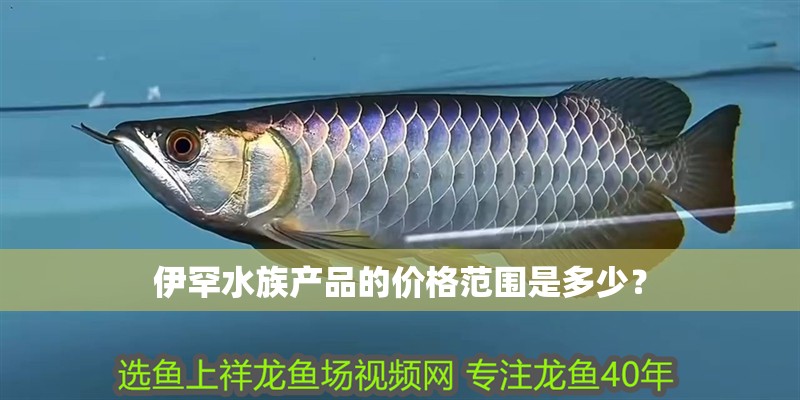 伊罕水族產品的價格范圍是多少？ 伊罕水族產品的價格范圍是多少？ 龍魚百科