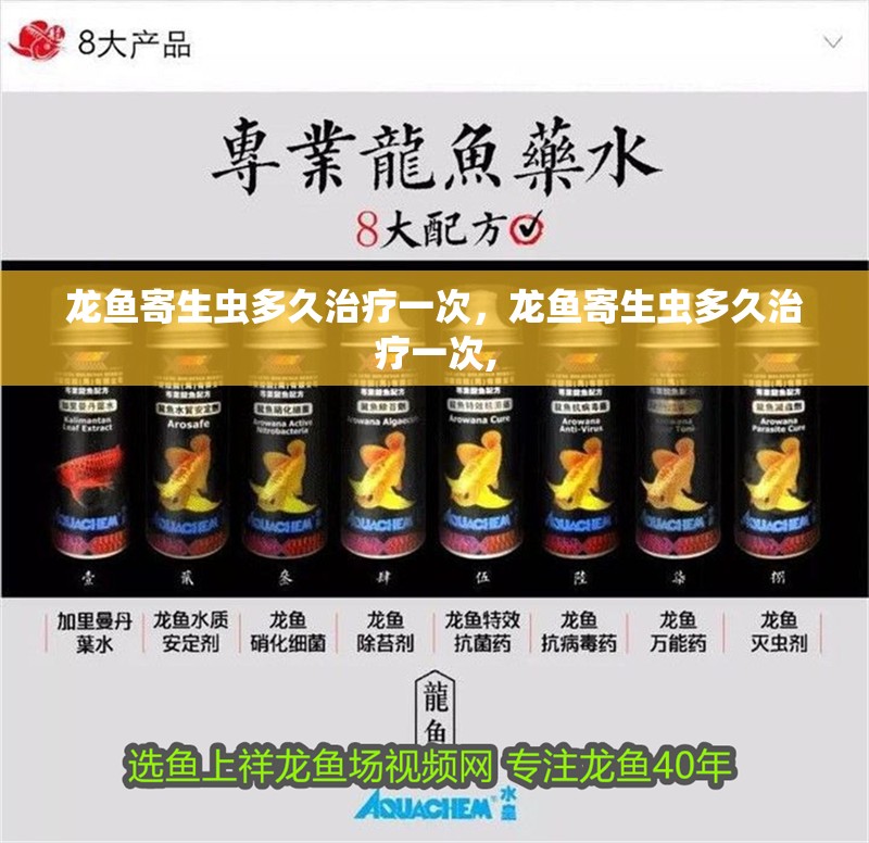 龍魚(yú)寄生蟲(chóng)多久治療一次，龍魚(yú)寄生蟲(chóng)多久治療一次, 龍魚(yú)寄生蟲(chóng)多久治療一次，龍魚(yú)寄生蟲(chóng)多久治療一次, 龍魚(yú)百科