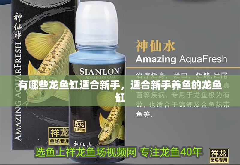 有哪些龍魚缸適合新手，適合新手養魚的龍魚缸