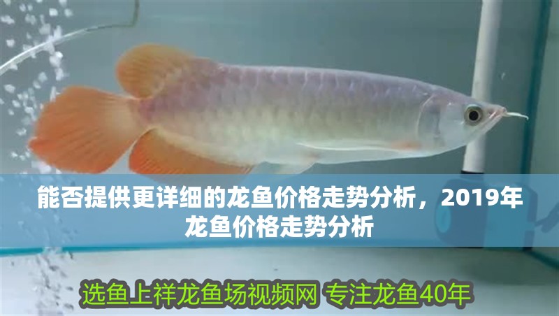 我的虎魚真菌感染了要怎么處理 能否提供更詳細的龍魚價格走勢分析,2019年龍魚價格走勢分析 龍魚百科 能否提供更詳細的龍魚價格走勢分析,2019年龍魚價格走勢分析 能否提供更詳細的龍魚價格走勢分析,2019年龍魚價格走勢分析 龍魚百科