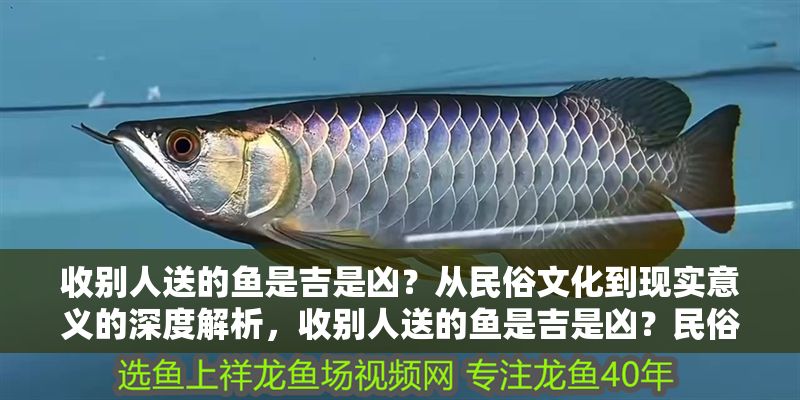 收別人送的魚是吉是兇？從民俗文化到現實意義的深度解析，收別人送的魚是吉是兇？民俗寓意與現實影響的全面解讀