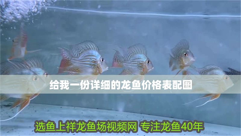 給我一份詳細(xì)的龍魚價(jià)格表配圖 給我一份詳細(xì)的龍魚價(jià)格表配圖 龍魚百科