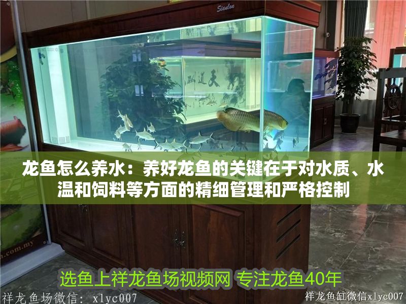 龍魚怎么養水：養好龍魚的關鍵在于對水質、水溫和飼料等方面的精細管理和嚴格控制