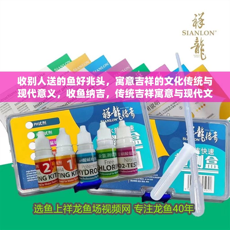 收別人送的魚好兆頭，寓意吉祥的文化傳統(tǒng)與現(xiàn)代意義，收魚納吉，傳統(tǒng)吉祥寓意與現(xiàn)代文化意義的交融 收別人送的魚好兆頭，寓意吉祥的文化傳統(tǒng)與現(xiàn)代意義，收魚納吉，傳統(tǒng)吉祥寓意與現(xiàn)代文化意義的交融 龍魚百科 第1張