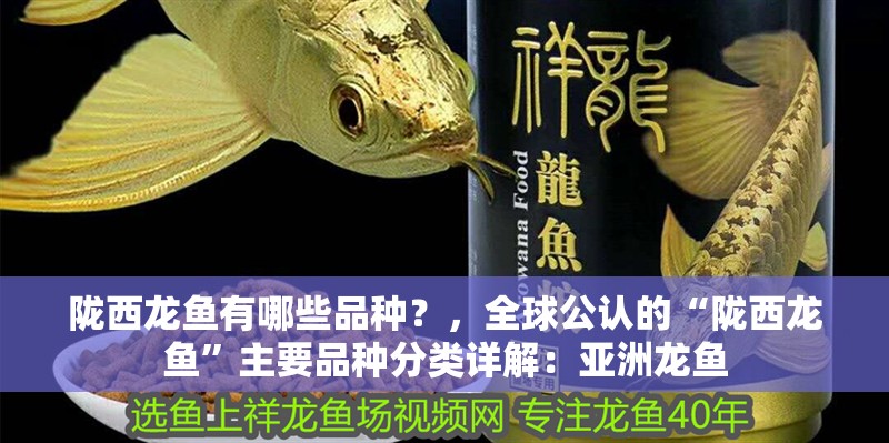 隴西龍魚有哪些品種？，全球公認(rèn)的“隴西龍魚”主要品種分類詳解：亞洲龍魚
