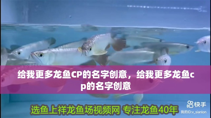 給我更多龍魚CP的名字創(chuàng)意，給我更多龍魚cp的名字創(chuàng)意