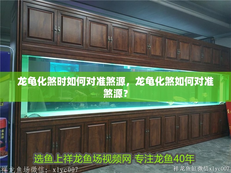 魚缸過濾器選購指南:自制魚缸過濾器魚缸上置過濾器對于養魚愛好者的必備知識 龍龜化煞時如何對準煞源,龍龜化煞如何對準煞源? 龍魚百科 龍龜化煞時如何對準煞源,龍龜化煞如何對準煞源? 龍龜化煞時如何對準煞源,龍龜化煞如何對準煞源? 龍魚百科