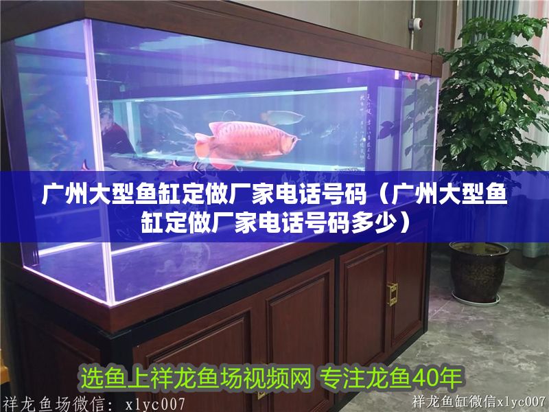 廣州大型魚缸定做廠家電話號碼(廣州大型魚缸定做廠家電話號碼多少) 龍魚百科 第1張 廣州大型魚缸定做廠家電話號碼(廣州大型魚缸定做廠家電話號碼多少) 廣州大型魚缸定做廠家電話號碼(廣州大型魚缸定做廠家電話號碼多少) 龍魚百科 第1張