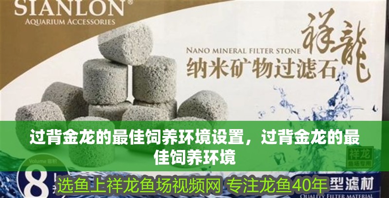 過背金龍的最佳飼養環境設置，過背金龍的最佳飼養環境 過背金龍的最佳飼養環境設置，過背金龍的最佳飼養環境 龍魚百科