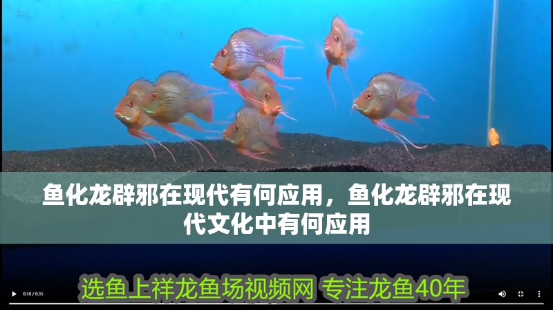 魚化龍辟邪在現代有何應用，魚化龍辟邪在現代文化中有何應用