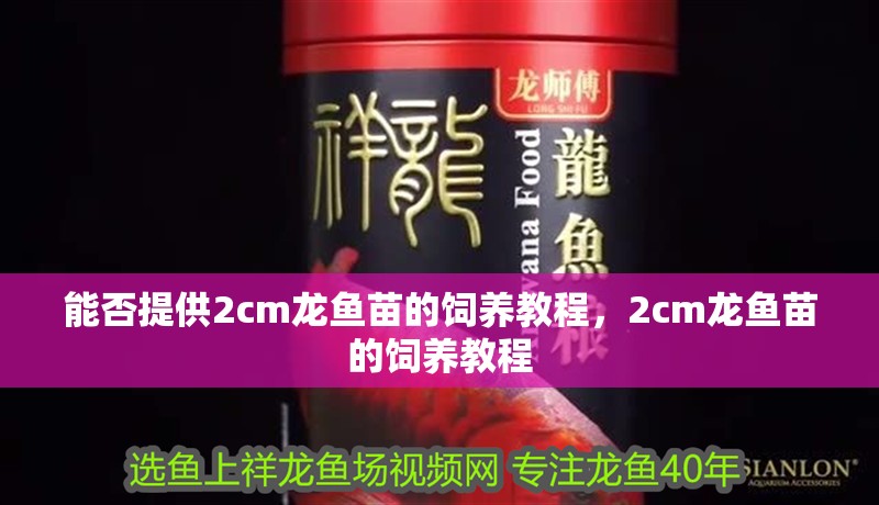 能否提供2cm龍魚(yú)苗的飼養(yǎng)教程，2cm龍魚(yú)苗的飼養(yǎng)教程 能否提供2cm龍魚(yú)苗的飼養(yǎng)教程，2cm龍魚(yú)苗的飼養(yǎng)教程 龍魚(yú)百科