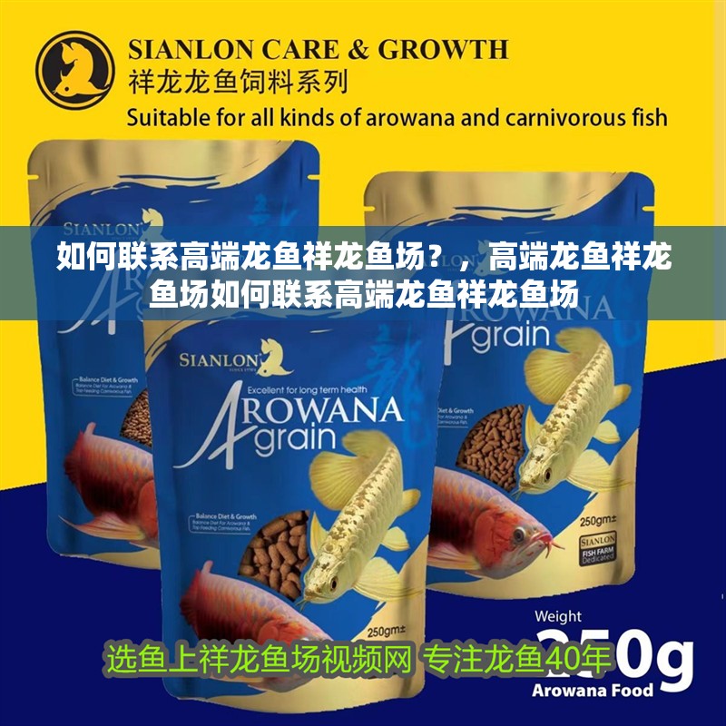 如何聯(lián)系高端龍魚(yú)祥龍魚(yú)場(chǎng)？，高端龍魚(yú)祥龍魚(yú)場(chǎng)如何聯(lián)系高端龍魚(yú)祥龍魚(yú)場(chǎng) 如何聯(lián)系高端龍魚(yú)祥龍魚(yú)場(chǎng)？，高端龍魚(yú)祥龍魚(yú)場(chǎng)如何聯(lián)系高端龍魚(yú)祥龍魚(yú)場(chǎng) 龍魚(yú)百科