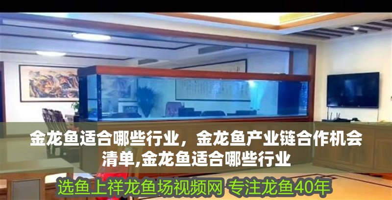 金龍魚(yú)適合哪些行業(yè)，金龍魚(yú)產(chǎn)業(yè)鏈合作機(jī)會(huì)清單,金龍魚(yú)適合哪些行業(yè) 金龍魚(yú)適合哪些行業(yè)，金龍魚(yú)產(chǎn)業(yè)鏈合作機(jī)會(huì)清單,金龍魚(yú)適合哪些行業(yè) 龍魚(yú)百科