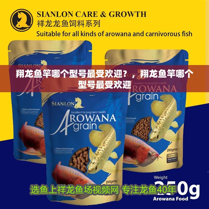 翔龍魚竿哪個型號最受歡迎？，翔龍魚竿哪個型號最受歡迎