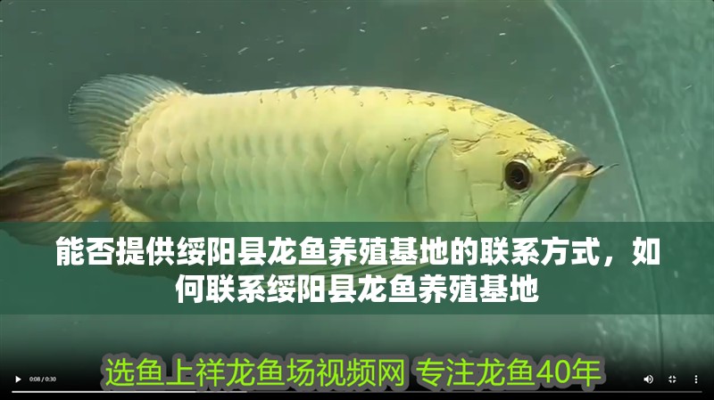 能否提供綏陽縣龍魚養殖基地的聯系方式，如何聯系綏陽縣龍魚養殖基地 能否提供綏陽縣龍魚養殖基地的聯系方式，如何聯系綏陽縣龍魚養殖基地 龍魚百科