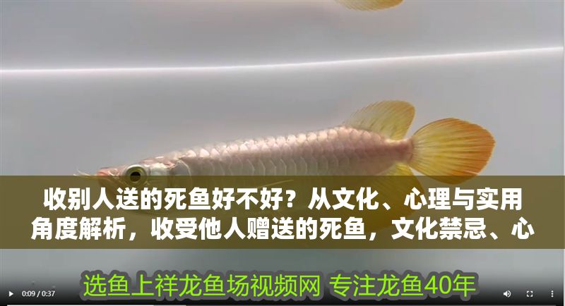 收別人送的死魚好不好？從文化、心理與實用角度解析，收受他人贈送的死魚，文化禁忌、心理影響與實用考量
