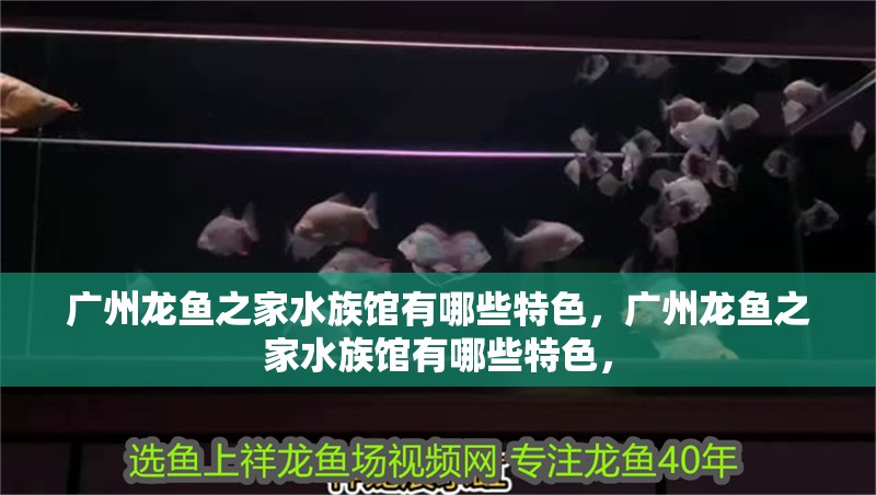 魚缸用增氧泵價格是多少:魚缸增氧機-xtrac增氧機-xtrac增氧機 廣州龍魚之家水族館有哪些特色,廣州龍魚之家水族館有哪些特色, 龍魚百科 廣州龍魚之家水族館有哪些特色,廣州龍魚之家水族館有哪些特色, 廣州龍魚之家水族館有哪些特色,廣州龍魚之家水族館有哪些特色, 龍魚百科